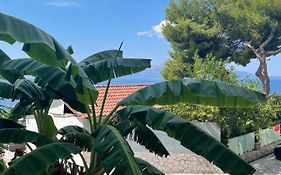 Mohito Beach Apartment 4